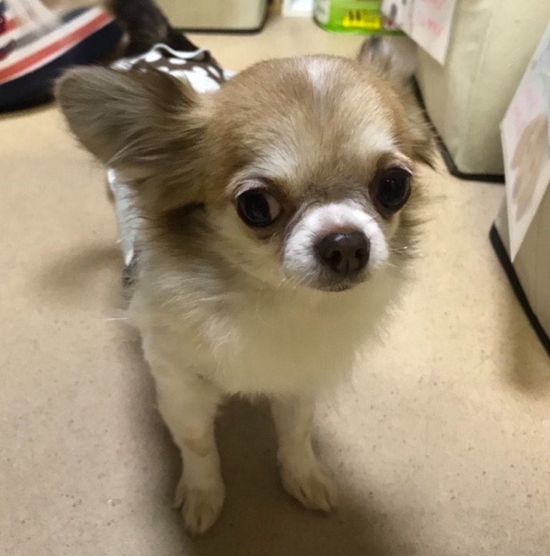 支援物資をたくさんいただきました😄いつもありがとうございます💑